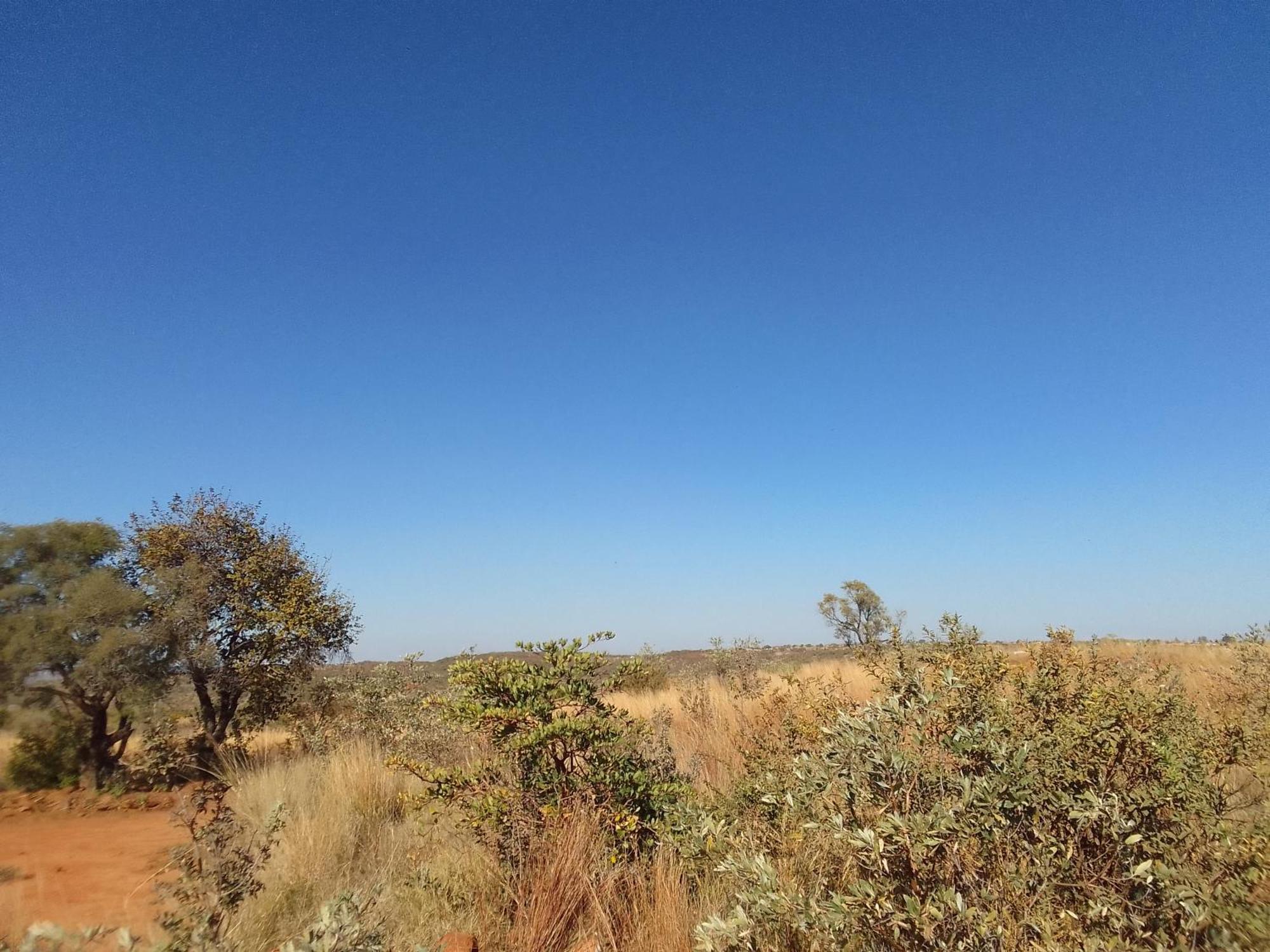 Kgola Safaris