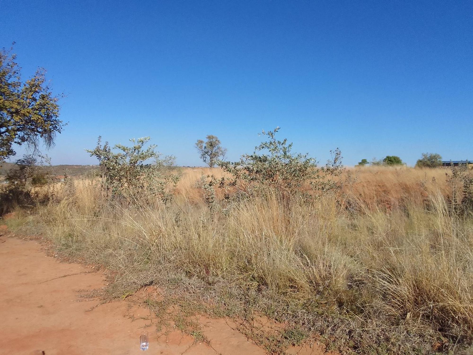 Kgola Safaris *