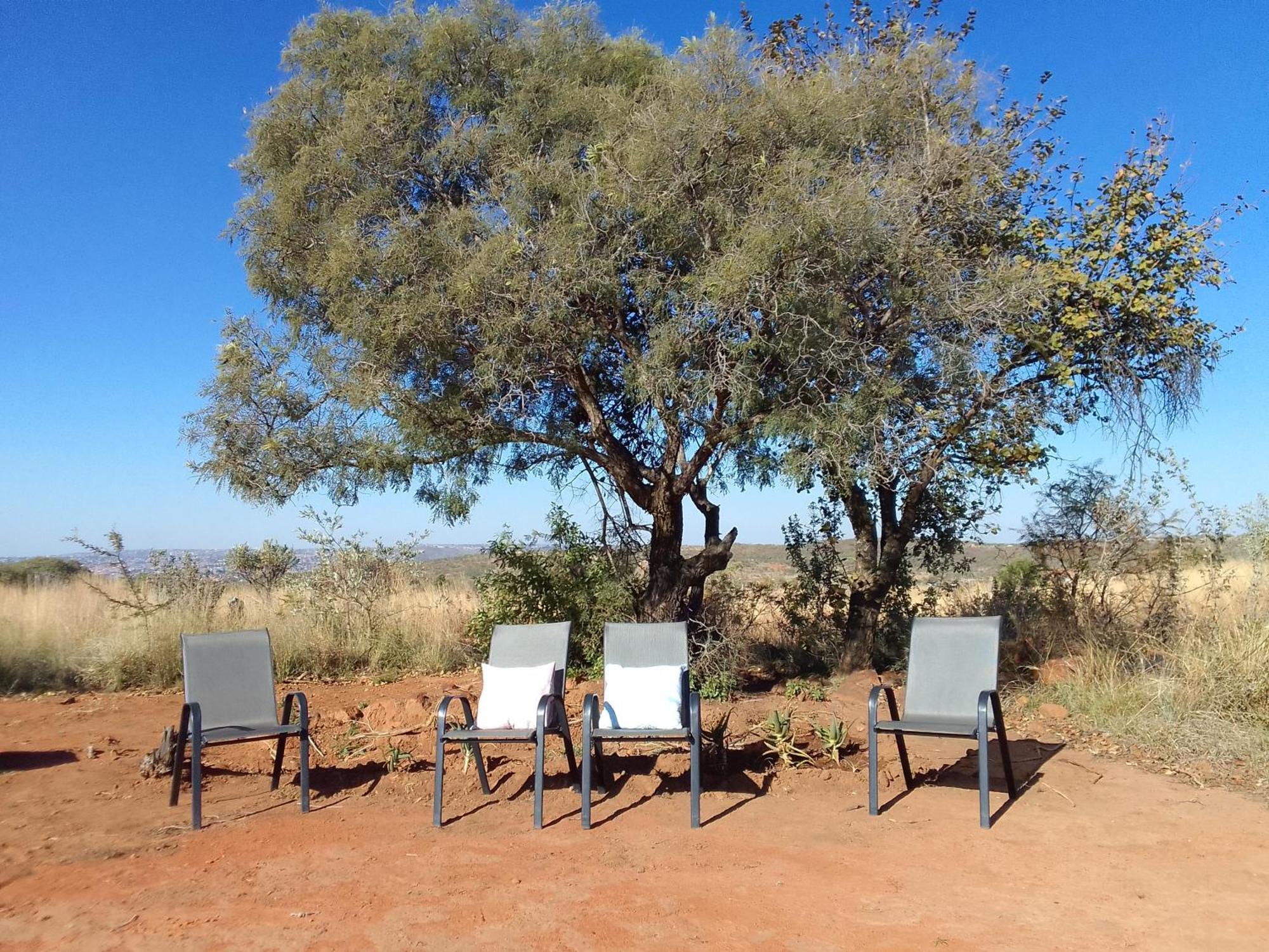 Kgola Safaris Akasia