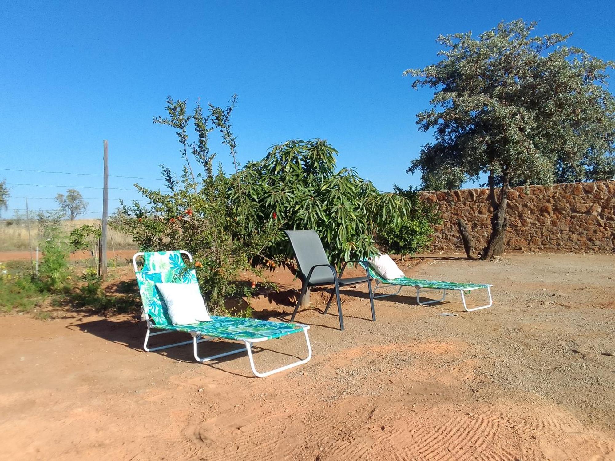 Kgola Safaris Akasia
